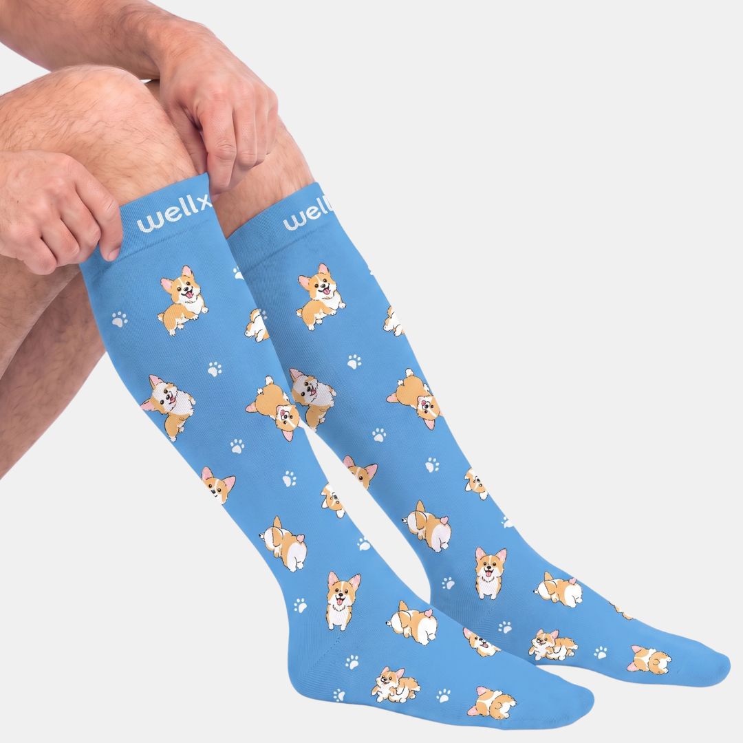 Puppies Blue Compression Socks For Men, A person wearing knee-high blue socks with a repeating print of corgi dogs and small paw prints. The top band reads 'wellx'.
